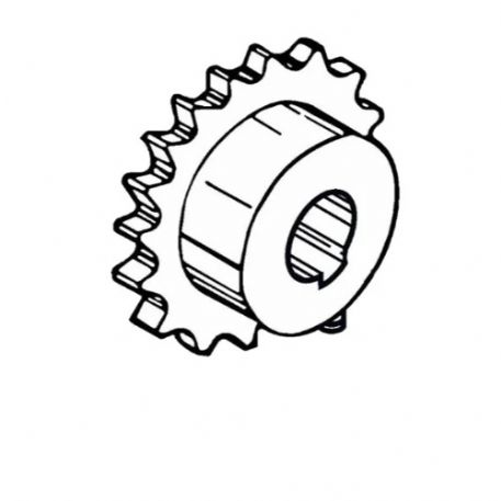 PIGNONE SEMPLICE 1/2” Z20 FADINI MEC 200LB 2055L